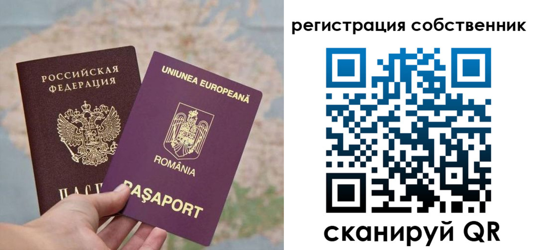временная регистрация гарантия в Свободном